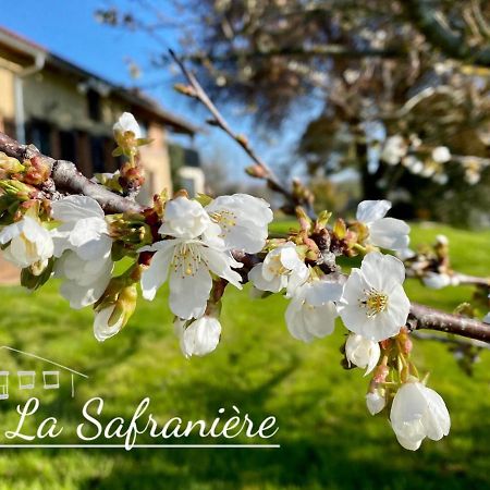 La Safraniere Villa Lagraulet-Saint-Nicolas Exterior photo