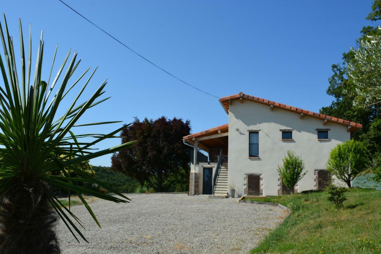 La Safraniere Villa Lagraulet-Saint-Nicolas Exterior photo