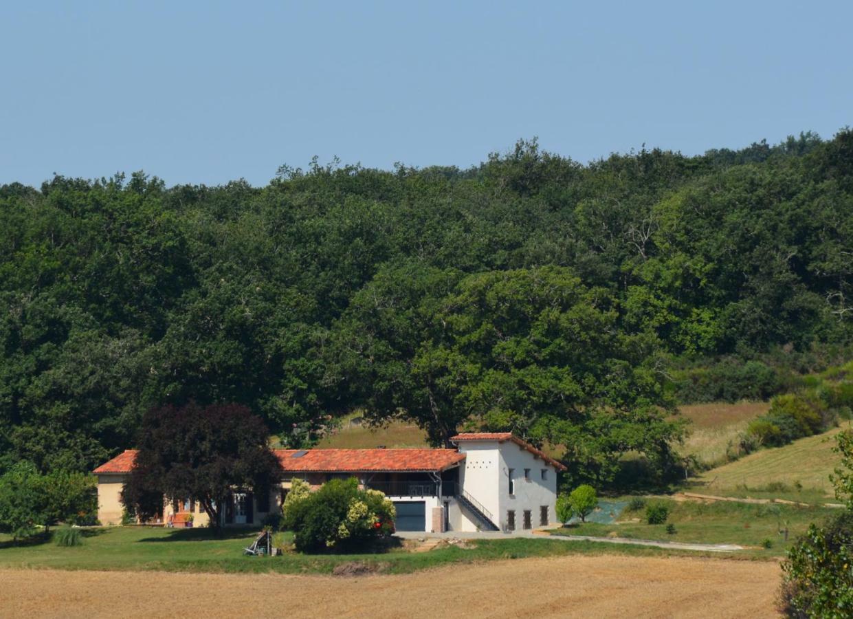 La Safraniere Villa Lagraulet-Saint-Nicolas Exterior photo